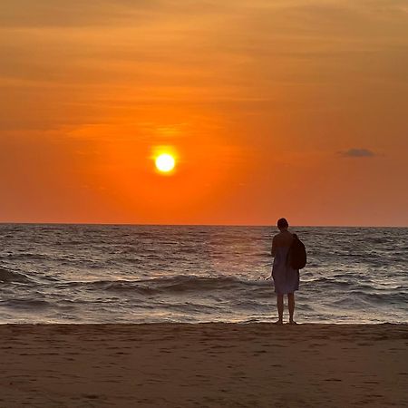 Honey Beach Hostel Negombo Dış mekan fotoğraf