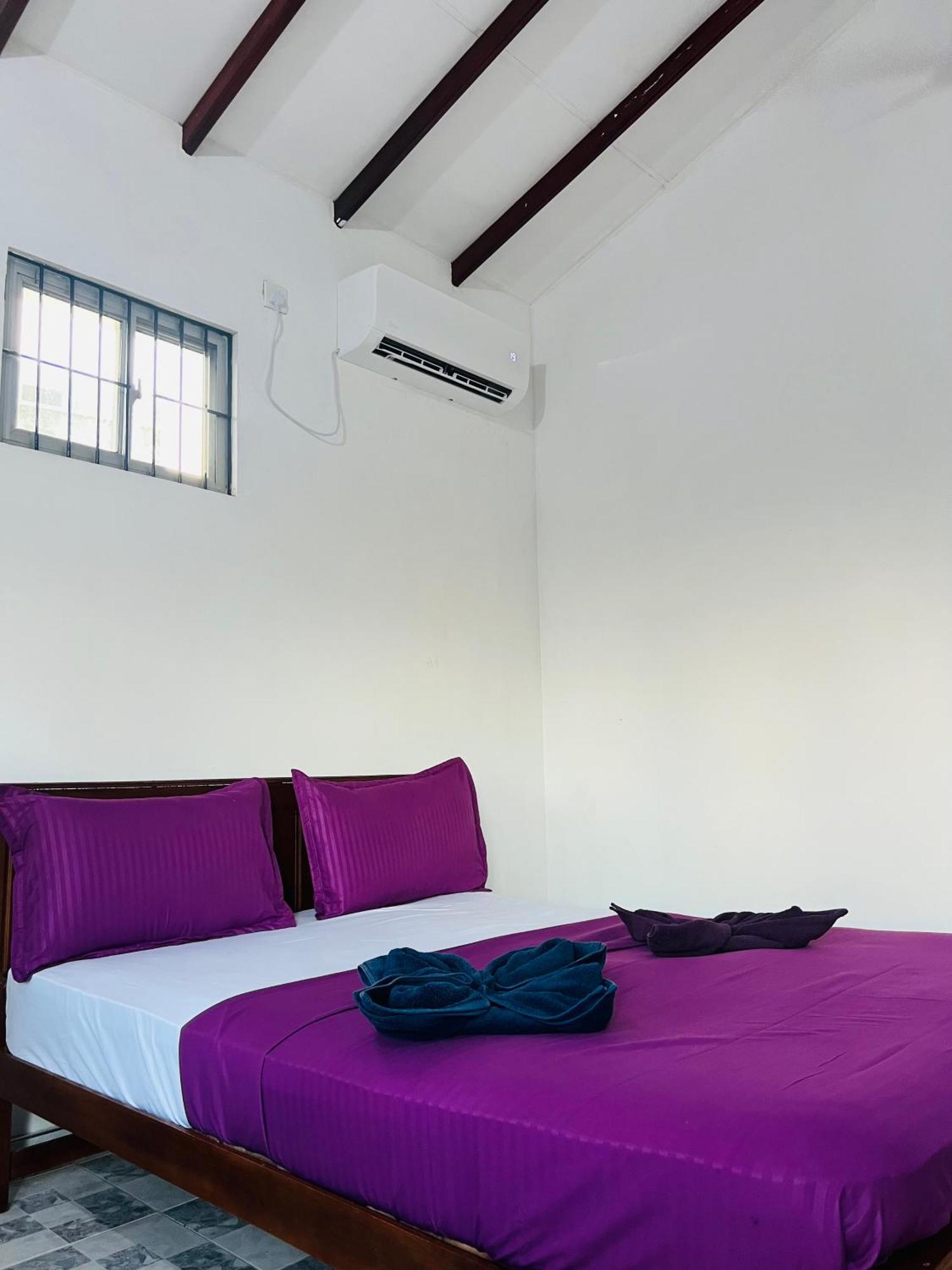 Honey Beach Hostel Negombo Dış mekan fotoğraf