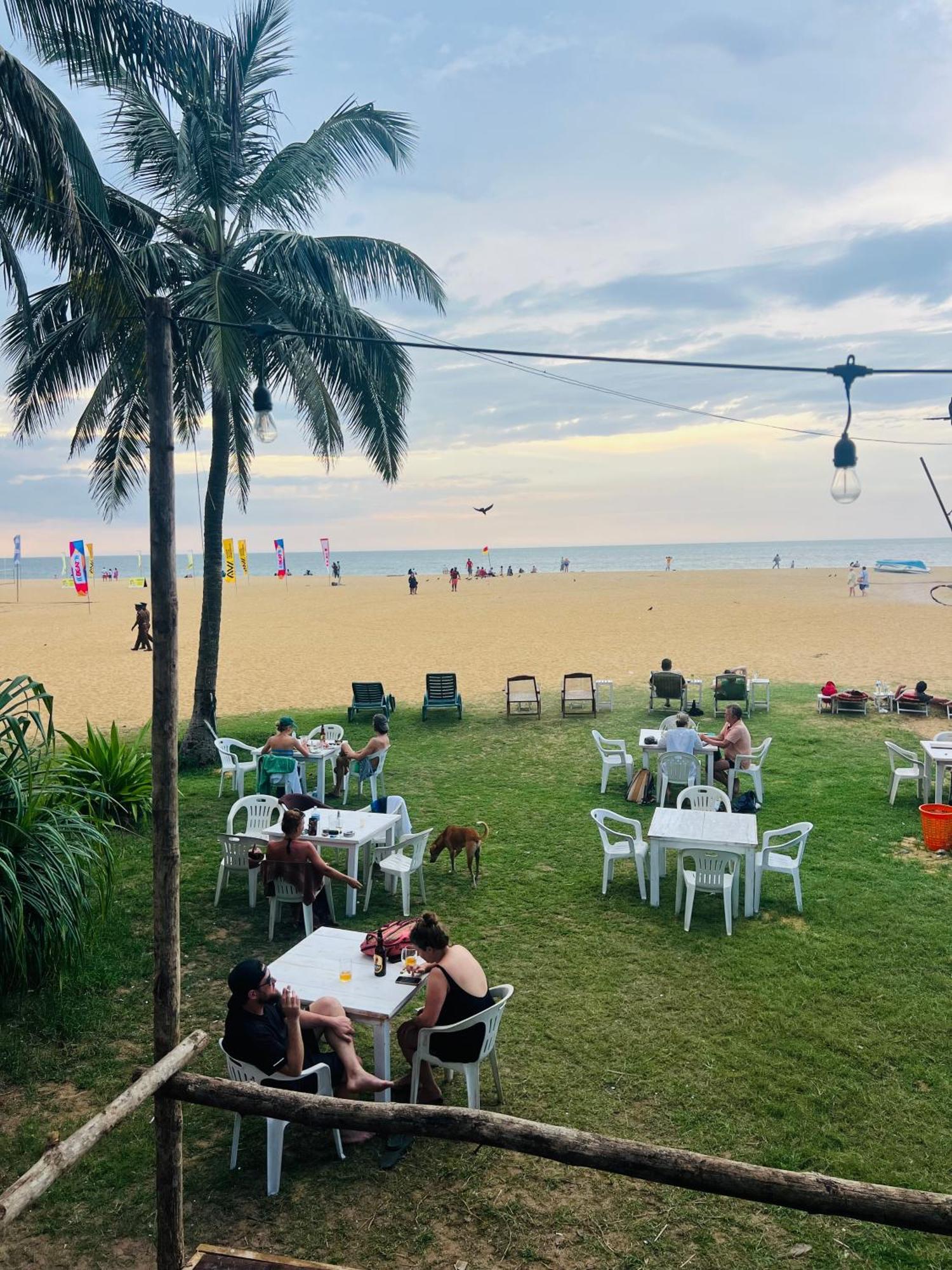 Honey Beach Hostel Negombo Dış mekan fotoğraf